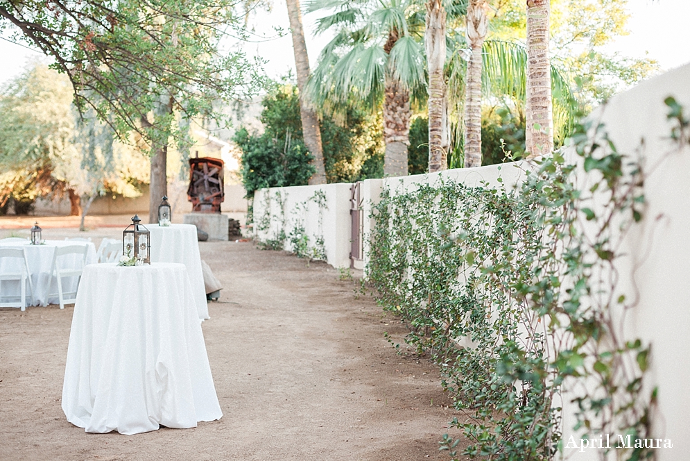 Secret Garden Events Wedding | Scottsdale Engagement Photographer | April Maura Photography | www.aprilmaura.com_3608.jpg