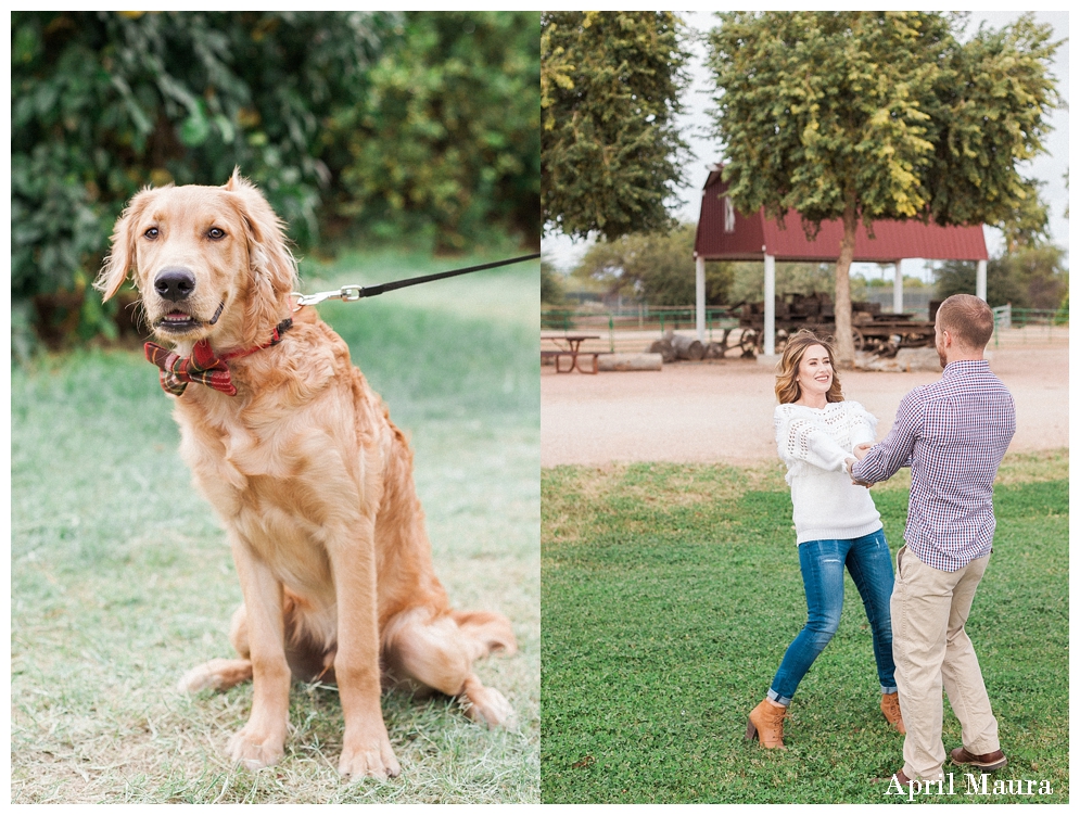 Fun engagement photo | Dog with a red bow-tie | Green Arizona Engagement Location | Tumbleweed Ranch | Scottsdale Engagement Photographer | April Maura Photography | www.aprilmaura.com_3655.jpg