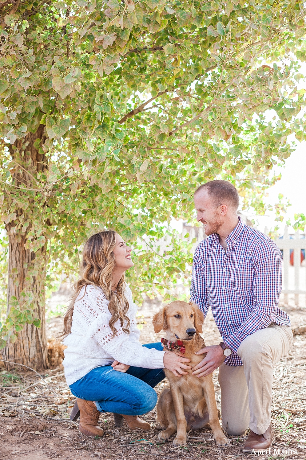 Engagement portrait | Green Arizona Engagement Location | Tumbleweed Ranch | Scottsdale Engagement Photographer | April Maura Photography | www.aprilmaura.com_3657.jpg