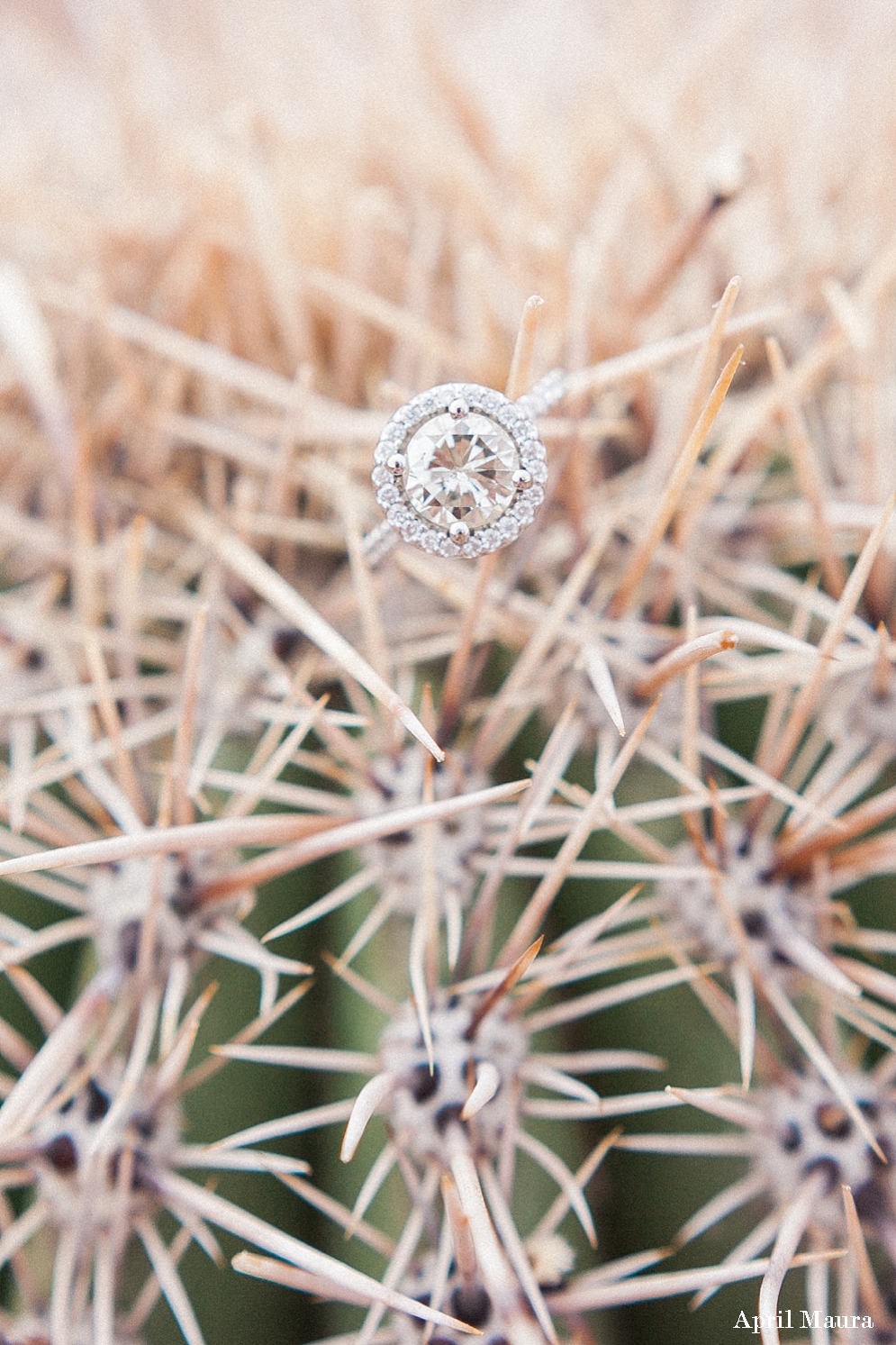 Papago Park Engagement session | St. Louis Wedding Photographer | April Maura Photography | www.aprilmaura.com_0198.jpg