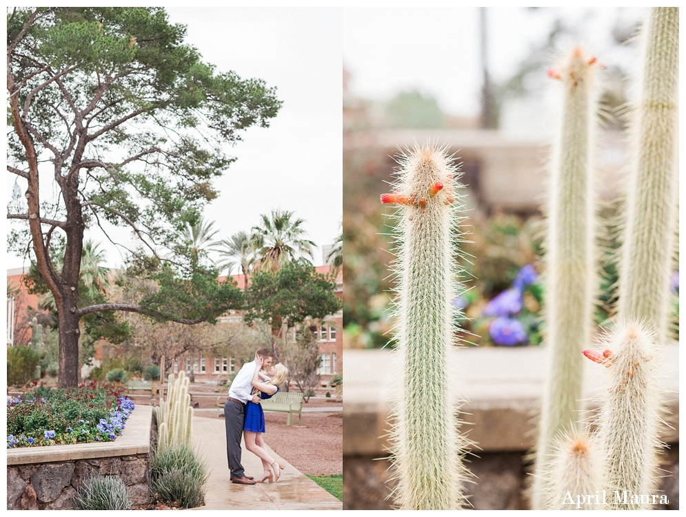 University of Arizona Engagement Session | St. Louis Wedding Photographer | April Maura Photography | www.aprilmaura.com_0263.jpg