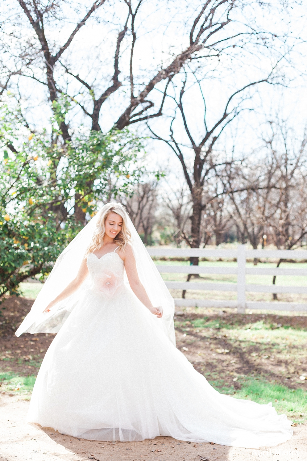 Venue at the Grove Wedding in Phoenix Arizona | St. Louis Wedding Photographer | April Maura Photography | www.aprilmaura.com_0303.jpg