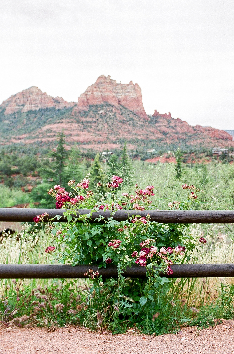 L'Auberge de Sedona Engagement and Wedding | St. Louis Wedding Photographer | April Maura Photography | www.aprilmaura.com_0154.jpg