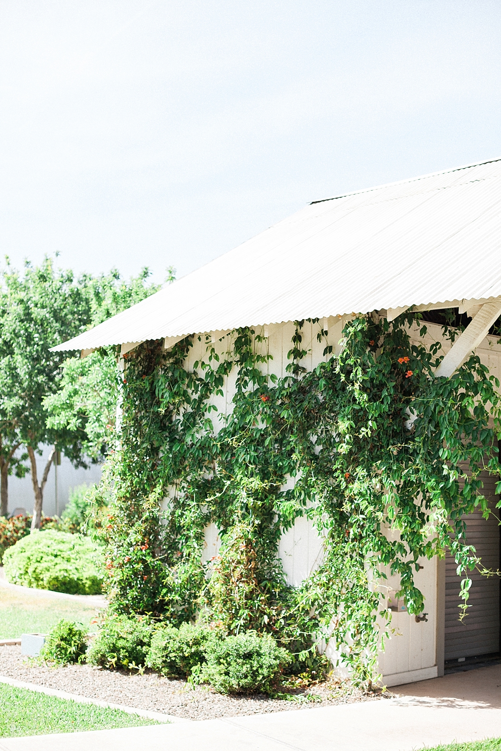 The Farm at Agritopia Engagement in Phoenix | St. Louis Wedding Photographer | April Maura Photography | www.aprilmaura.com_0075.jpg