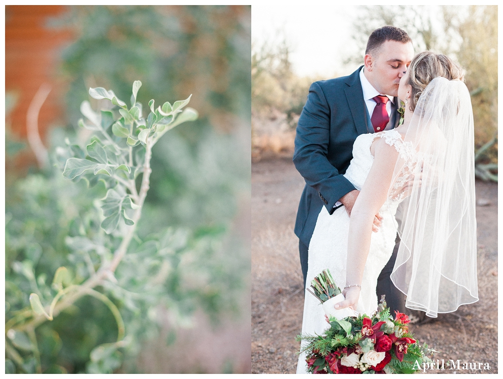 The Paseo Wedding in Arizona | St. Louis Wedding Photographer | April Maura Photography | www.aprilmaura.com_0033.jpg