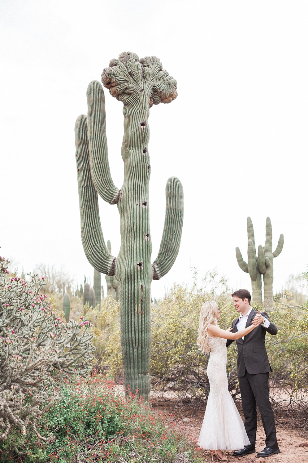 Desert Botanical Gardens Engagement Photos | St. Louis Wedding Photographer | April Maura Photography | www.aprilmaura.com_0290.jpg