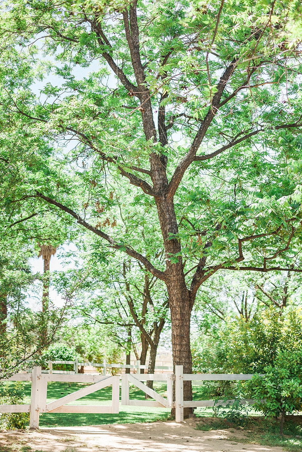 Venue at the Grove Wedding | St. Louis Wedding Photographer | St. Louis Wedding | April Maura Photography | Missouri wedding | St. Louis Wedding Photographer | April Maura Photography | www.aprilmaura.com_0027.jpg