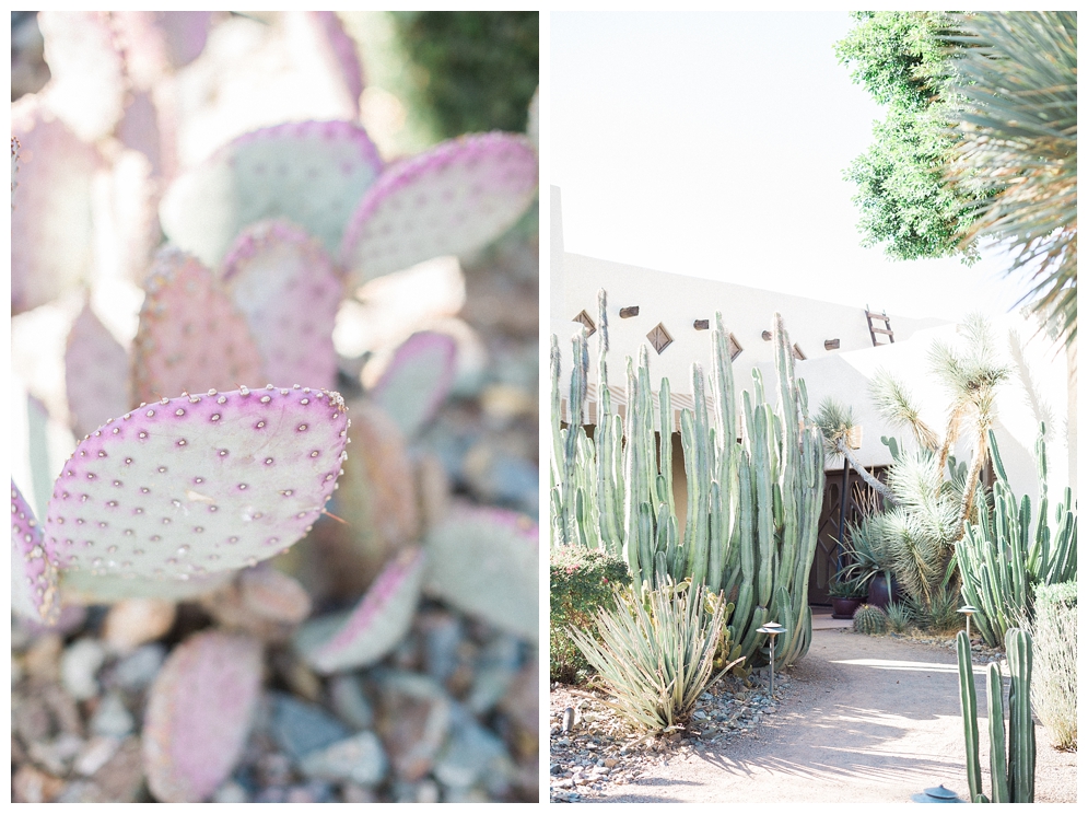 Wigwam Arizona Wedding | St. Louis Wedding Photographer | St. Louis Wedding | April Maura Photography | Missouri wedding | www.aprilmaura.com_0458.jpg