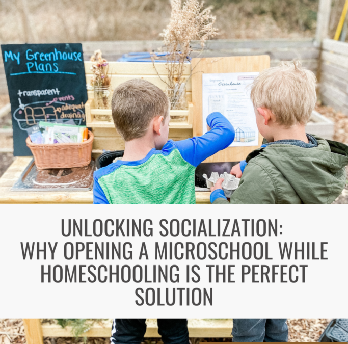 Unlocking Socialization: Why Opening a Microschool While Homeschooling is the Perfect Solution