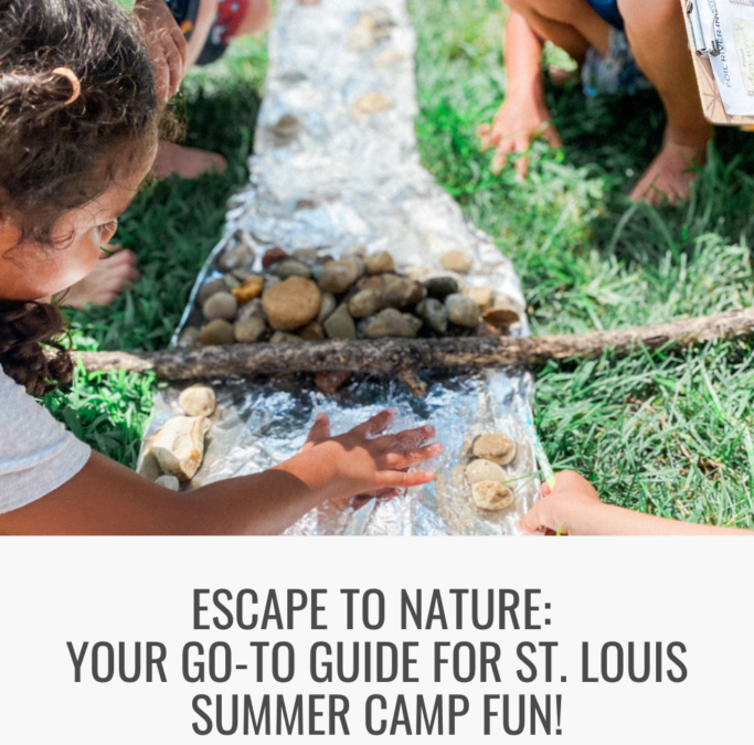 Your Ultimate Guide to St. Louis Nature Summer Camp at Little Leaders Academy