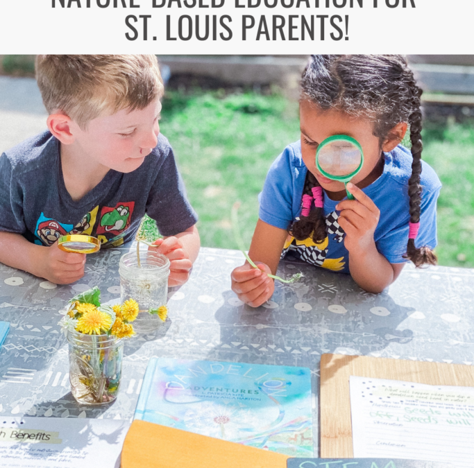 Nature-Based Education Unveiled: Addressing Top 10 FAQs for St. Louis Parents