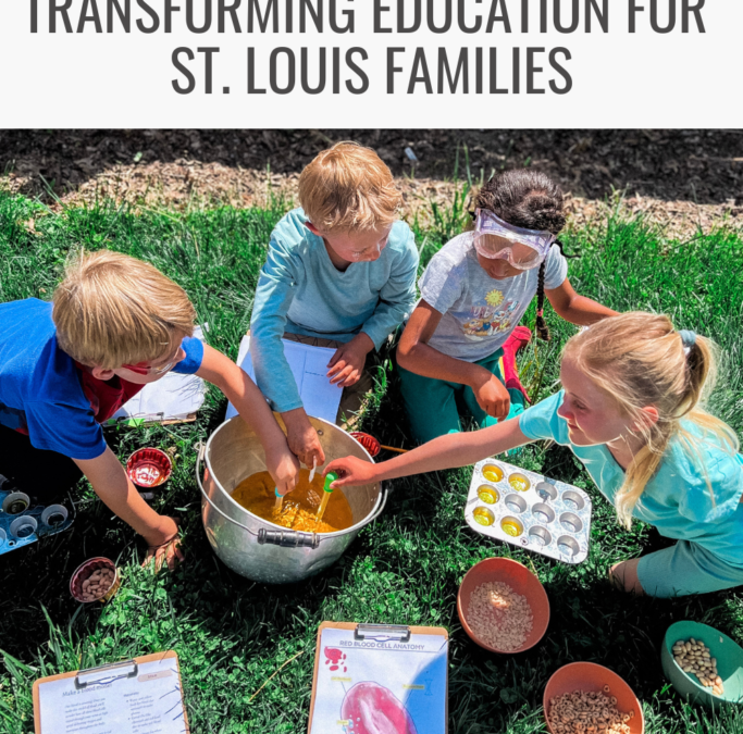 Beyond Grades: Transforming Education for St. Louis Families