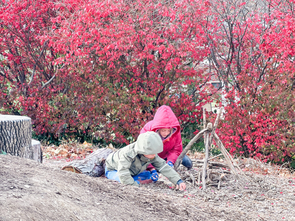 How Forest Schools Inspire Curiosity and Creativity in St. Louis