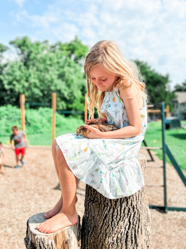 How Forest Schools Inspire Curiosity and Creativity in St. Louis