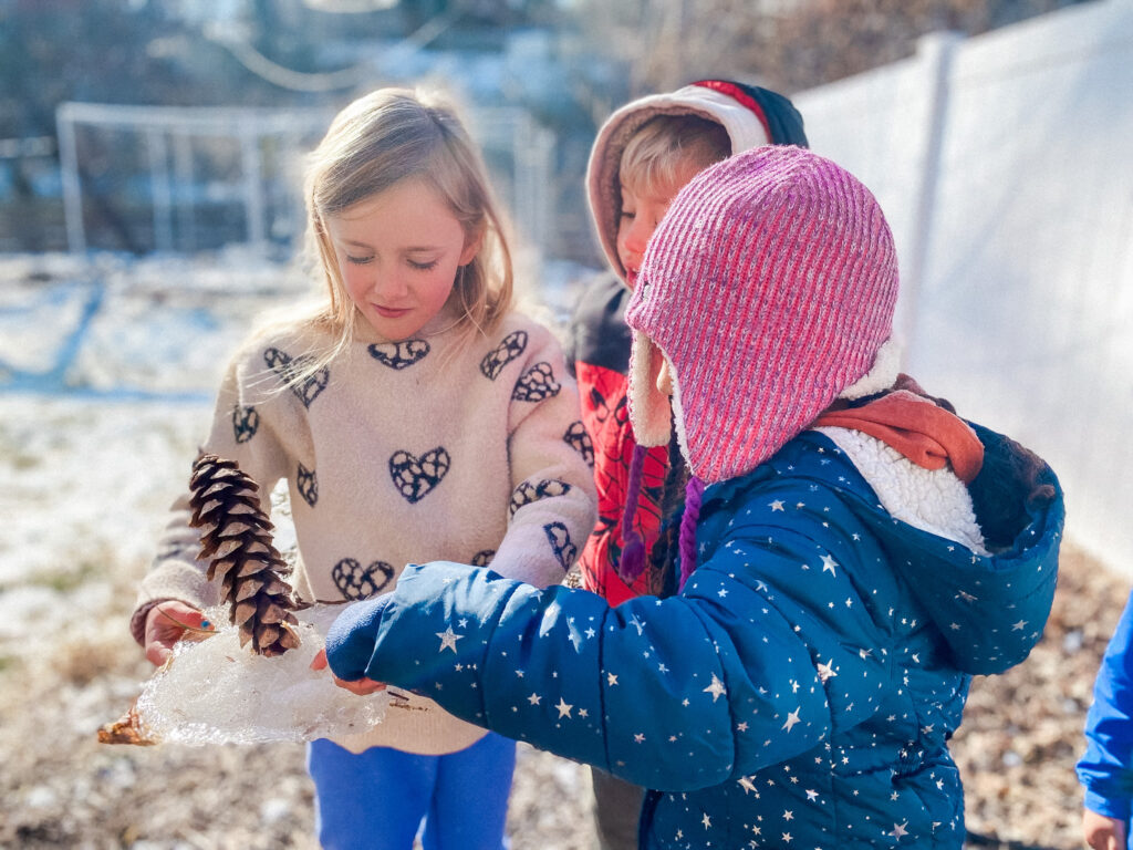 How Forest Schools Inspire Curiosity and Creativity in St. Louis