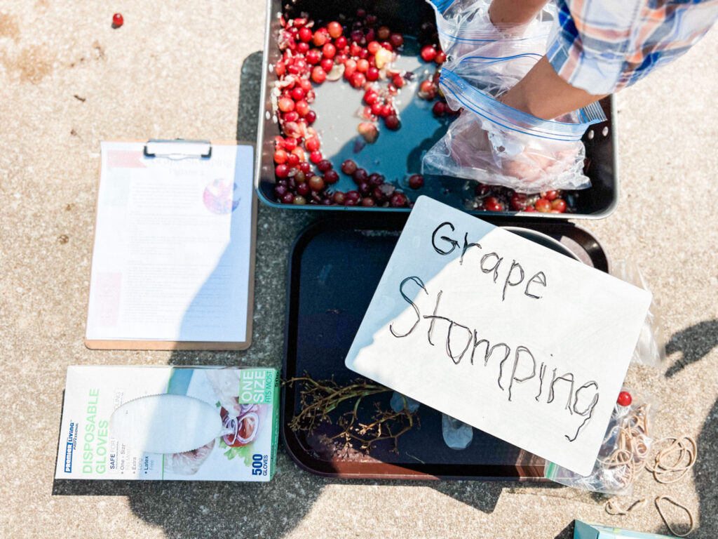 St Louis Christian School, St Louis Forest School, Agape Adventure Academy