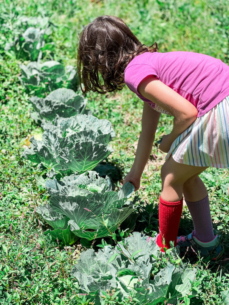 St Louis Christian School, St Louis Forest School, Outside, gardening, Agape Adventure Academy