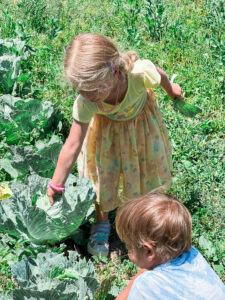 St Louis Christian School, St Louis Forest School, St Louis Christian Summer Camp