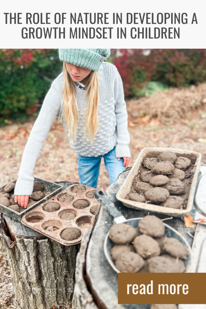 St Louis Christian School, St Louis Forest School
